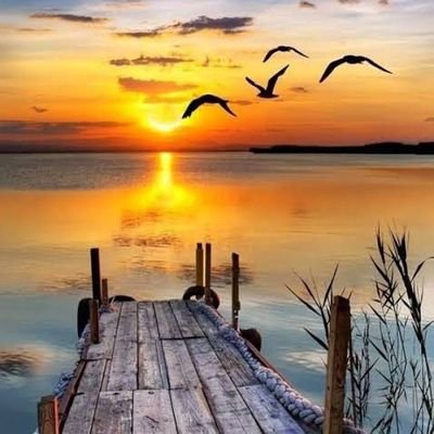 Bir_Tufan_'s profile picture. 