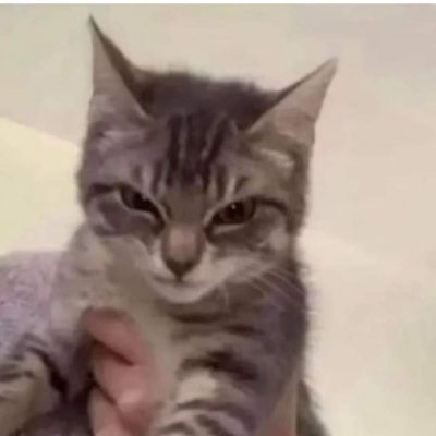 wriddhi6's profile picture. 夢をあきらめて死ね🫰🏿🖤