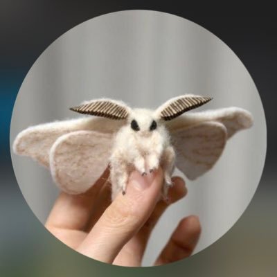 Ecto.moth 👻さんのプロフィール画像
