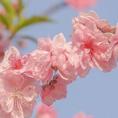 RrryLAn_'s profile picture. 4i纯攻/温柔s  搞纯爱的  推止于推