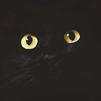 Lukasz16022 (@isaacourognao) 's Twitter Profile