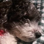 Xelorain_'s profile picture. Miami🌴