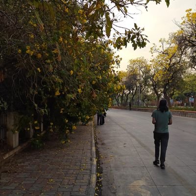 agarminiwal's profile picture. A paradox enduring the juxtaposed life.