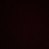 Blake Lintzenich (@lintzenichblake) 's Twitter Profile