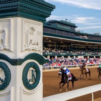 Gonzalez_Will13's profile picture. Me apasiona el hipismo, I Love  Racing Horse USA 🇺🇸🔥🏇