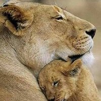 Citizen of New India (@citizenofnewin1) 's Twitter Profile Photo Citizen of New India (@citizenofnewin1) 's Twitter Profile Photo