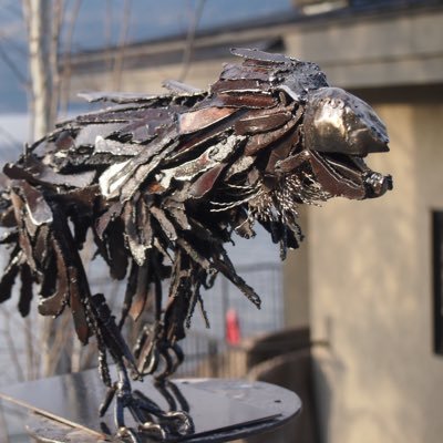 endofthelake's profile picture. Trust but Verify