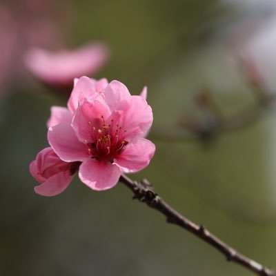 lynn_testme's profile picture. 