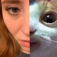 fräulein balls (@ordentligginger) 's Twitter Profile