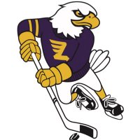 Lourdes Eagles Hockey (@lhsboyspuck) 's Twitter Profile Photo Lourdes Eagles Hockey (@lhsboyspuck) 's Twitter Profile Photo