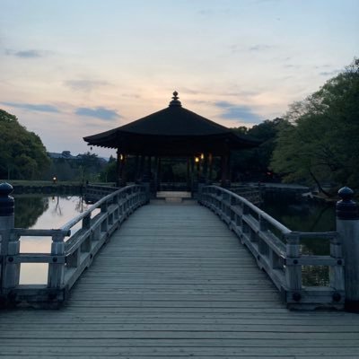 奈良が好き、本が好き、話すのは苦手、ノンビリするのが大好き。