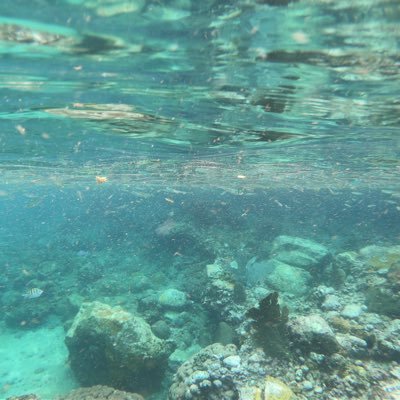 mcliptak's profile picture. 