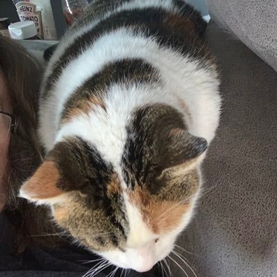 fatboylesg's profile picture. some tosspot stole my account now I’m back