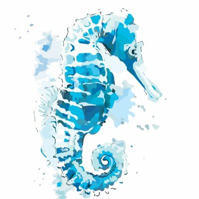 Detroit natives💙Singer Island lovers🏖️Blue Water Cove Resort owners🌴5-star luxury🌟Beach-ready for guests🏄♂️Island life calls🌺DM us📩#BlueWaterCoveResort