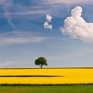 thbn05208503's profile picture. 随便看看