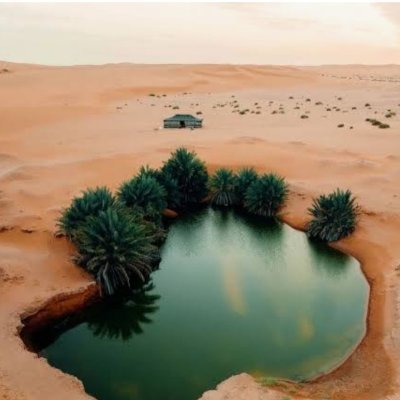 AJndlh's profile picture. اغيض بك في العشق تلعات الارقاب،،،
واشب في جوف العواذل سعيره،،،