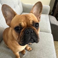 RR (@rred1178) 's Twitter Profile