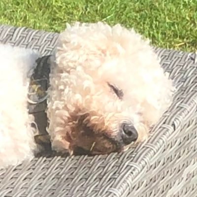 mudd66's profile picture. MCFCTID 💙⚽️