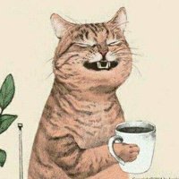 Mike Qin (@__broken_mike) 's Twitter Profile