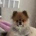 intrusive thoughts (@notlauv) Twitter profile photo intrusive thoughts (@notlauv) Twitter profile photo