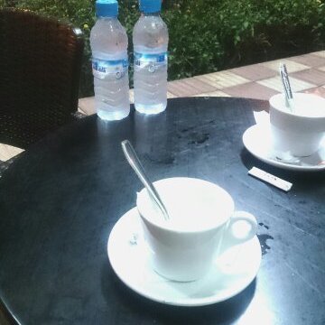 TkipciYfft's profile picture. 