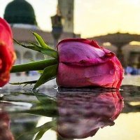 Babi Esrar (@babiesrar_63) 's Twitter Profile Photo