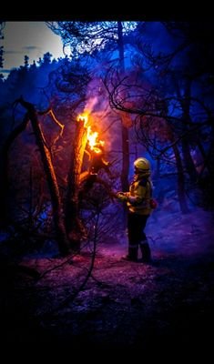 Nyjohpsg's profile picture. 