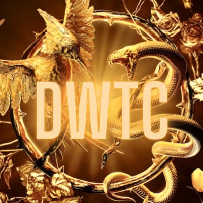 HungerGamesDWTC Profile Picture