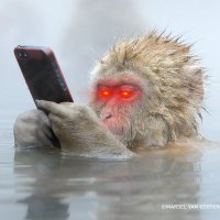 H (@sdfsldkfdsfs) 's Twitter Profile