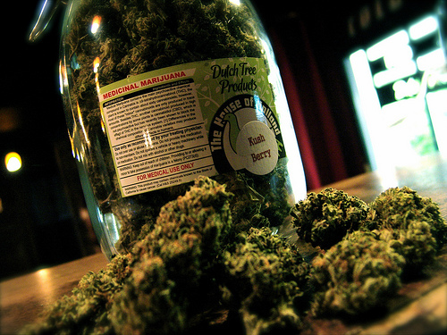 Kush Berry Babe the name speaks for itself im that damn fire. #TeamKush #TeamBlackBerry #TeamMacBook fuck everything else.