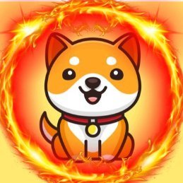 The original promise written by ELON was to be a coin for the people.
$BDOV will fulfill that promise.

Chinese Twitter: 
@BabyDogeBDOVCN