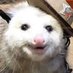 gay (@h0rnyh0e2) Twitter profile photo gay (@h0rnyh0e2) Twitter profile photo