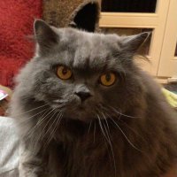 Klaus Bär (ich/mein) 🇪🇺 (@kbaer59) 's Twitter Profile Photo