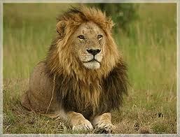 We create the most economical tour and travel deals in all dimensions of tour and travel planning. Contacts: epictourism@gmail.com or +254715643342.