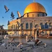 Doaa M Jarad (@doaa_jarad98077) 's Twitter Profile