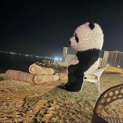 لا إله إلا أنت سبحانك إنى كنت من الظالمين..✨❤️