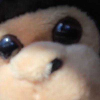 Kirsten Kさんのプロフィール画像