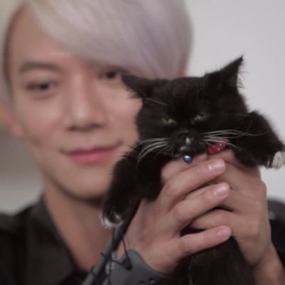 lee jaijin's cat girl 💛 semi hiatus
