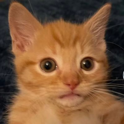 megさんのプロフィール画像