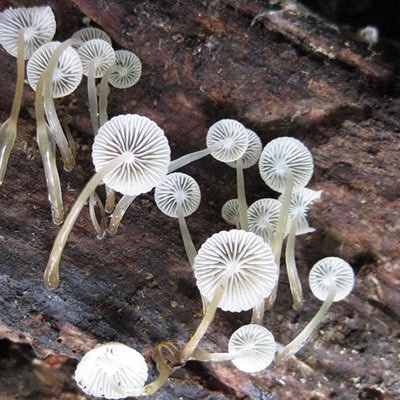 ameetingofroads's profile picture. 24, trans, she/her, new to nsfwtwt