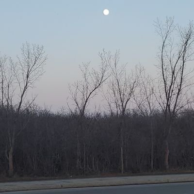 Nature and moon 🌙