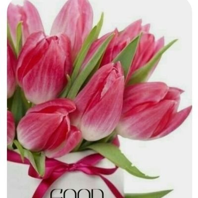 sufyanbadi1's profile picture. 