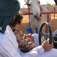 عُـمـر (@_3marrrrr) 's Twitter Profile