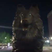 Stephen Phillips (@stephenphillip0) 's Twitter Profile