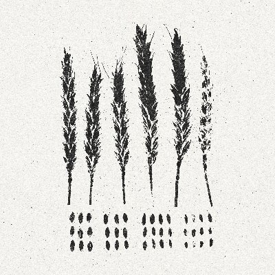 lookandbehold's profile picture. New Album 'THE GLEANERS' Out April 7 2023