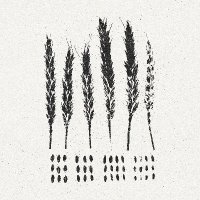 Lo! (@lookandbehold) 's Twitter Profile