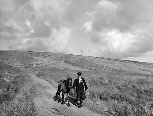 Museum-type, also worked in archives & libraries in Wales - fascinated by online exhibitions. Love the digi hums. Who does not want to follow may leave NOW.