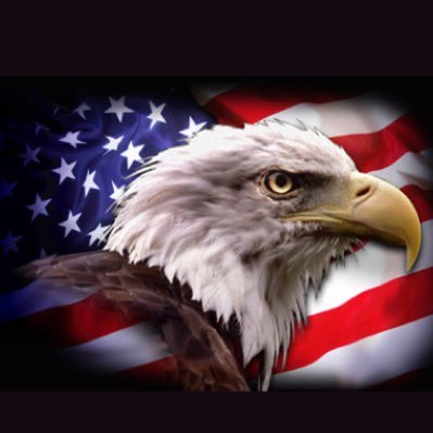 MimiOfAnon's profile picture. Me!