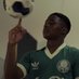 palmeiras (@bruno62363541) Twitter profile photo palmeiras (@bruno62363541) Twitter profile photo