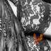 Mistress Ginger Phoenix ~ Creatively Cruel😈💵🐷😘 (@ginger7phoenix) Twitter profile photo Mistress Ginger Phoenix ~ Creatively Cruel😈💵🐷😘 (@ginger7phoenix) Twitter profile photo